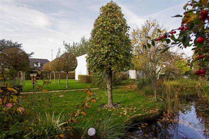 Bekijk foto 34 van Poeldijksepad 22