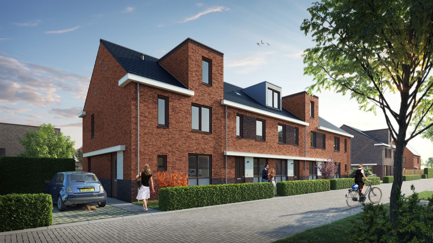 Photo 17 of Weegbree