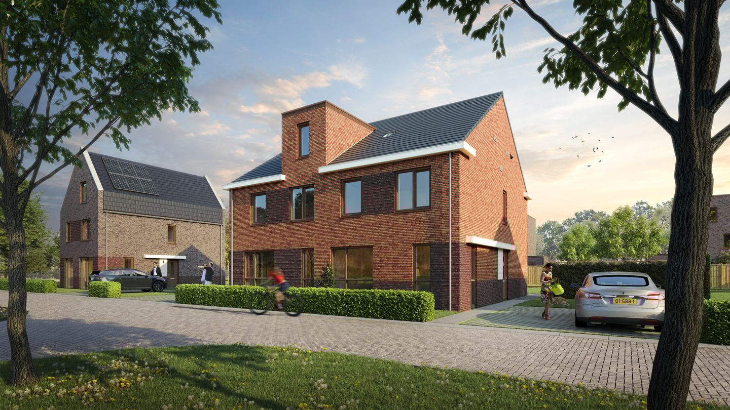 Photo 14 of Weegbree