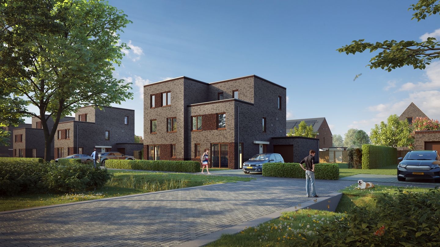 Photo 16 of Weegbree