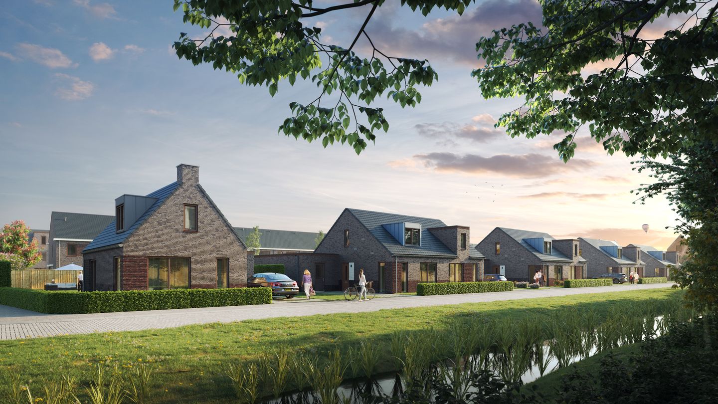 Photo 15 of Weegbree