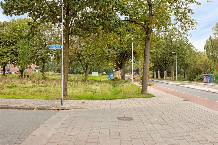 Bekijk foto 31 van Haaksbergerstraat 485