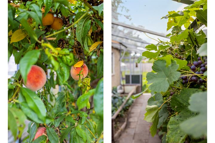 Bekijk foto 30 van Nieuwelaan 27