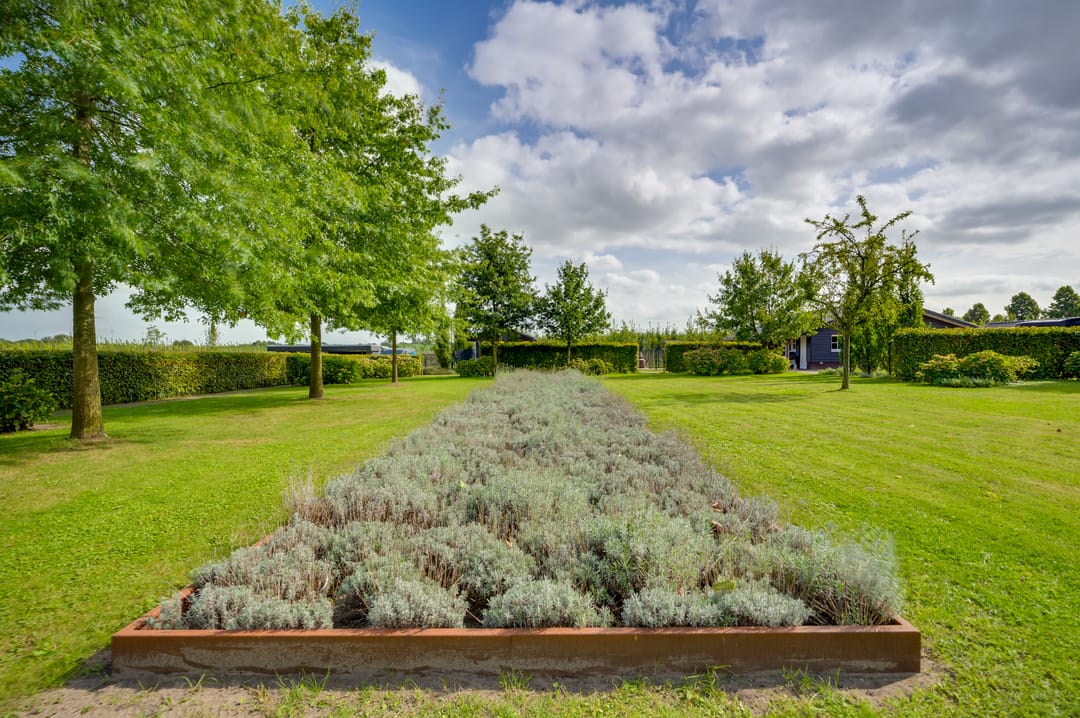 Photo 83 of Bredaseweg 24