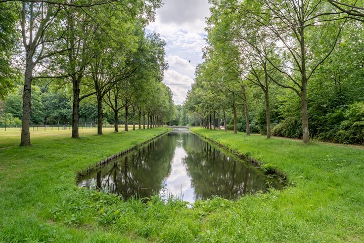 Bekijk foto 30 van Dijkwachtsingel 27