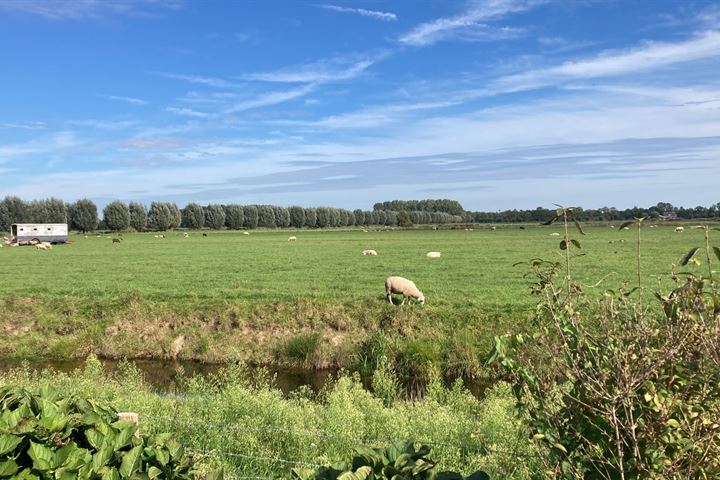 Bekijk foto 3 van Koperwiek 35