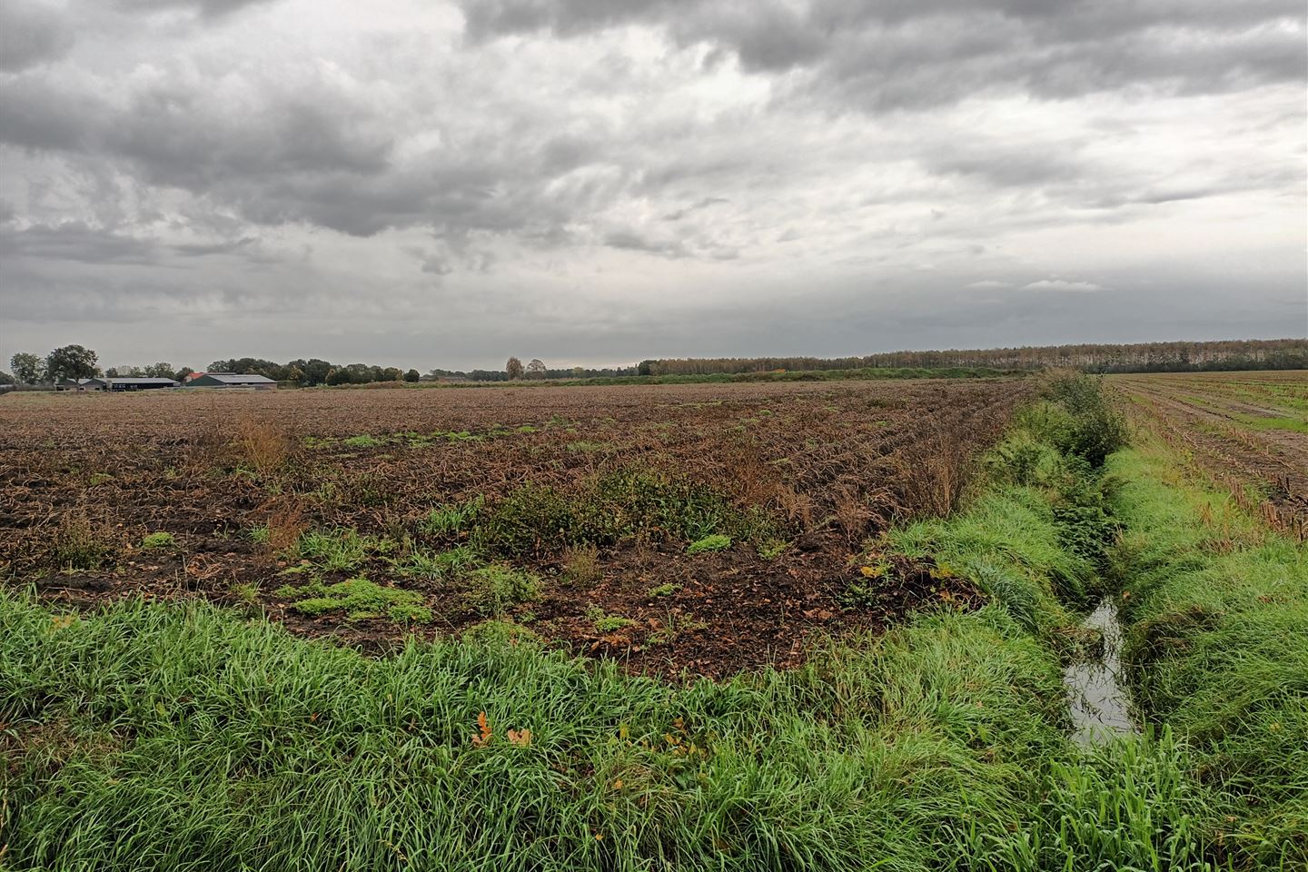 Bekijk foto 5 van Brouwerskampweg