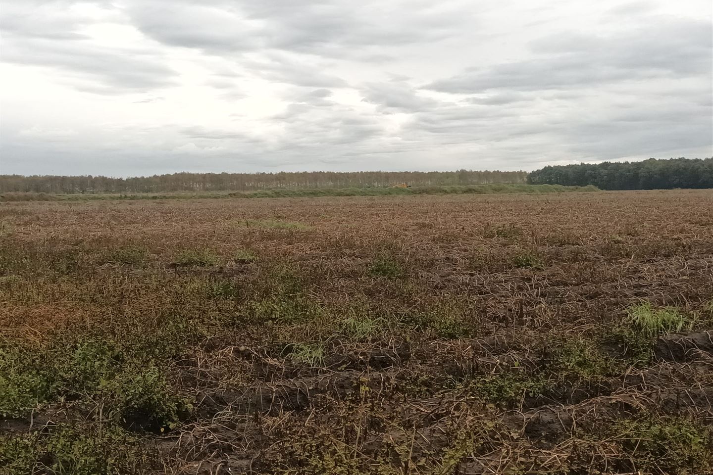 Bekijk foto 4 van Brouwerskampweg