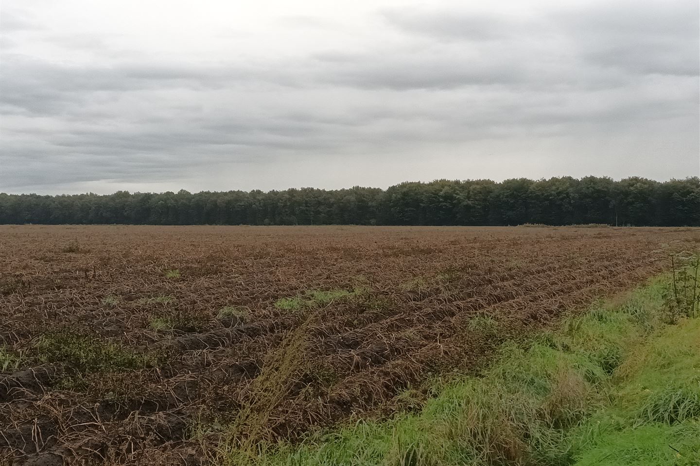 Bekijk foto 2 van Brouwerskampweg