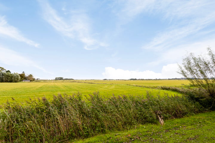 Bekijk foto 45 van Berlikumerweg 7