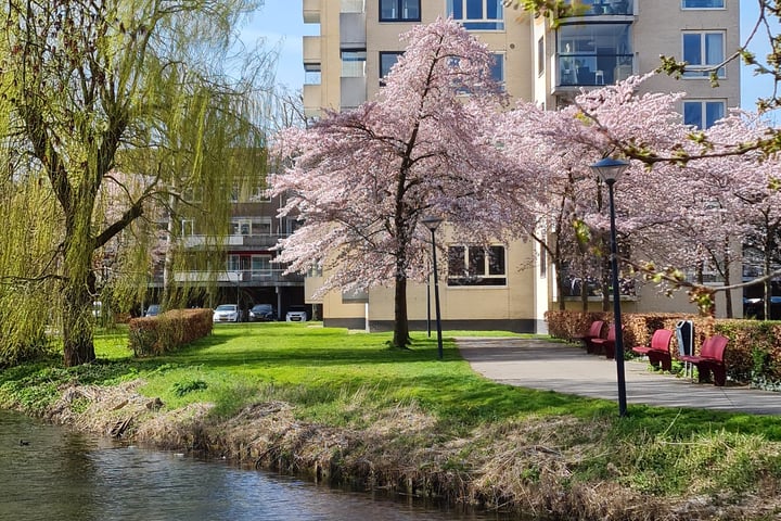 Bekijk foto 46 van Orionstraat 195