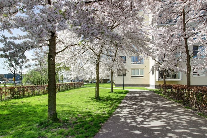 Bekijk foto 47 van Orionstraat 195