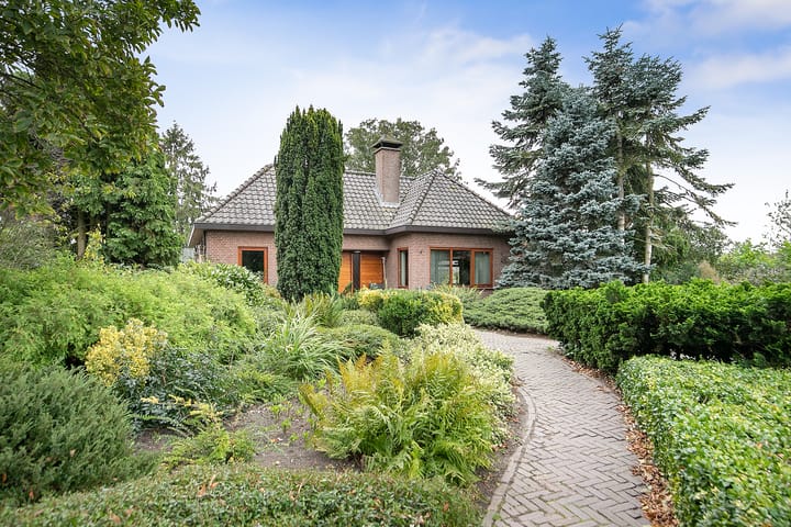 Foto 1 van Steenheuvelsestraat 78