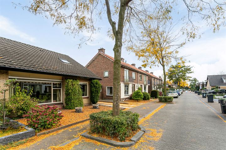 Bekijk foto 5 van Jacob van Ruisdaelstraat 52