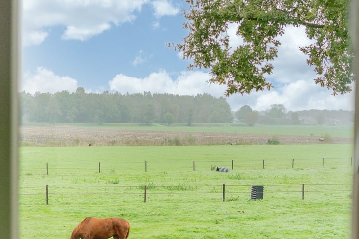 Bekijk foto 20 van Dedemsvaartseweg-Noord 66