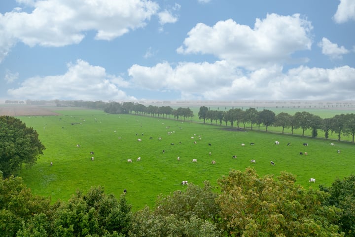 Bekijk foto 54 van Dedemsvaartseweg-Noord 66