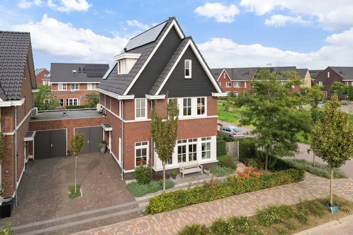 Bekijk foto 1 van Louis Paul Boonstraat 41