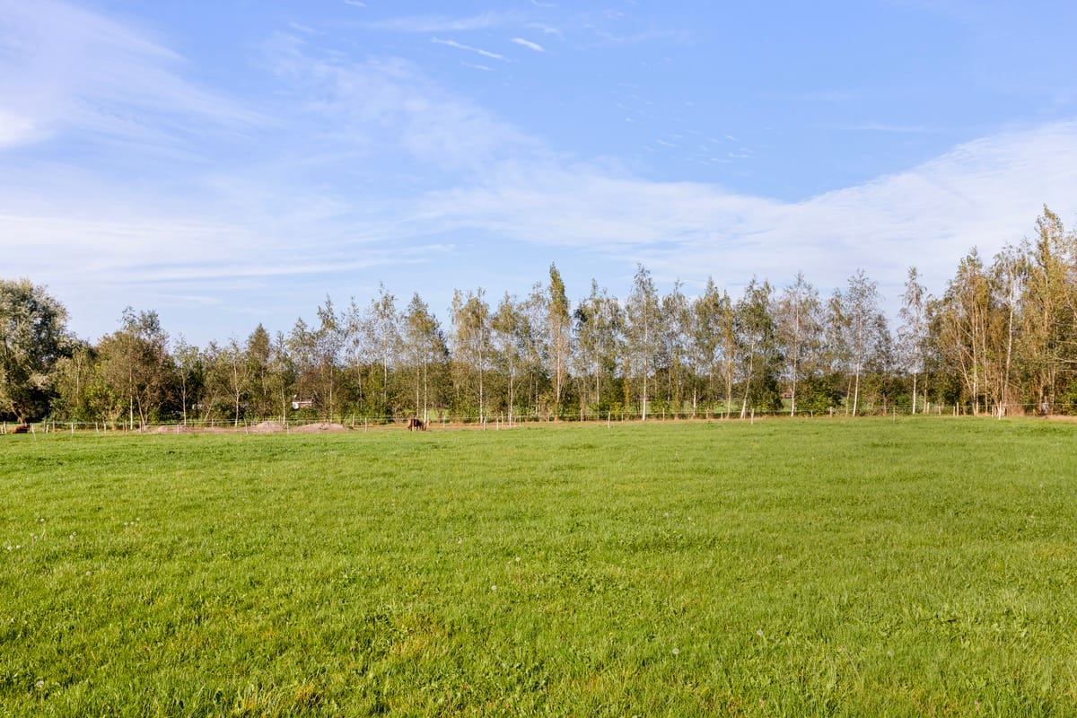 Foto 64 van Foarwurk 4