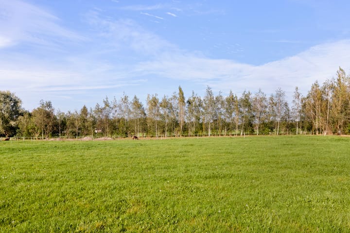 Foto 64 van Foarwurk 4