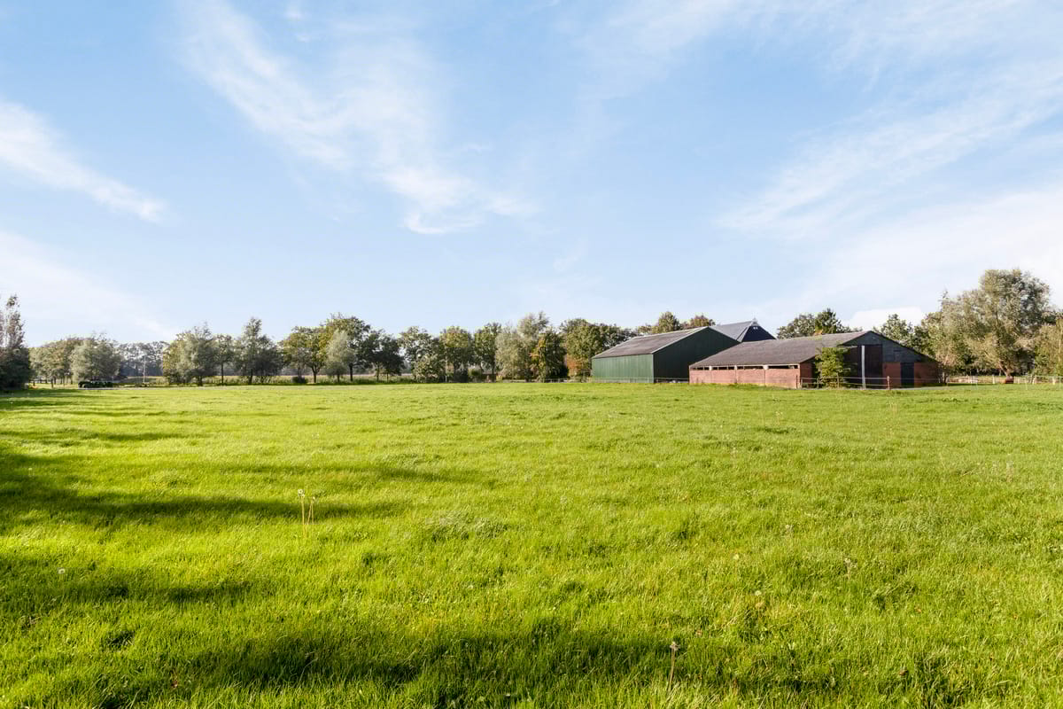 Foto 63 van Foarwurk 4