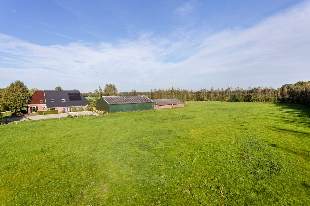 Foto 61 van Foarwurk 4