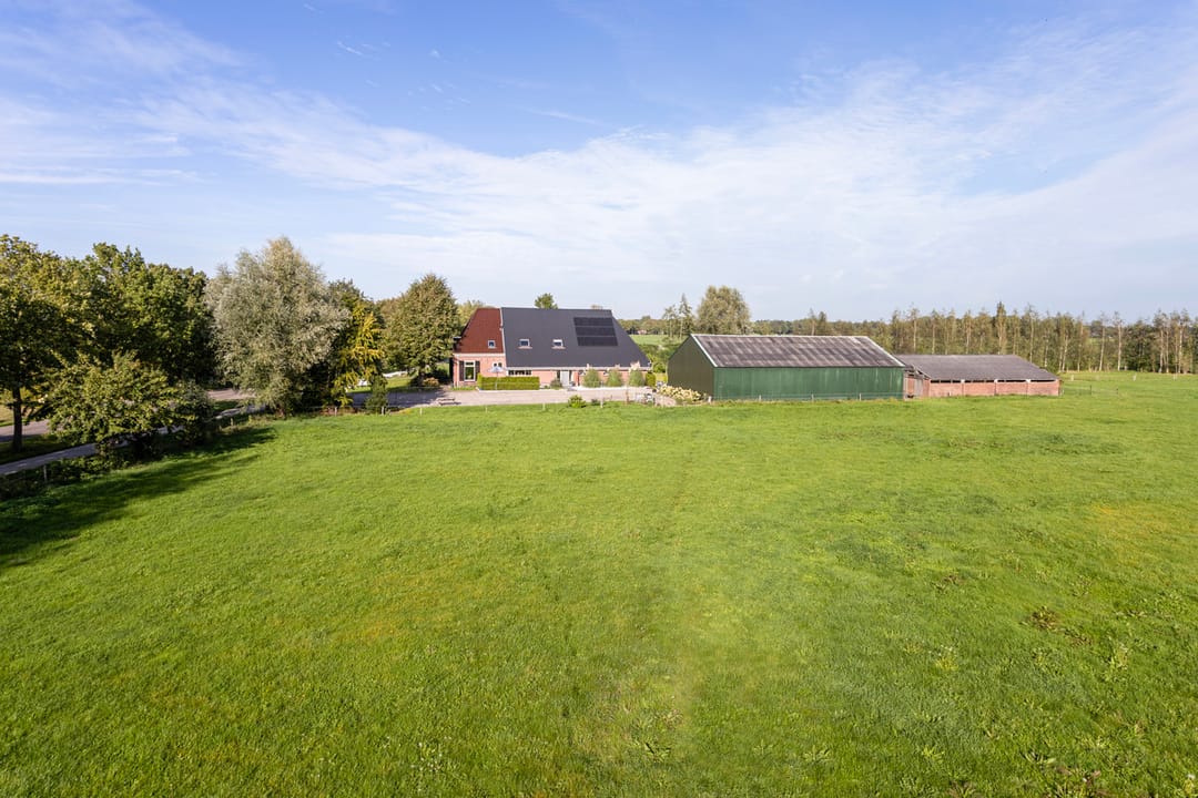 Foto 62 van Foarwurk 4