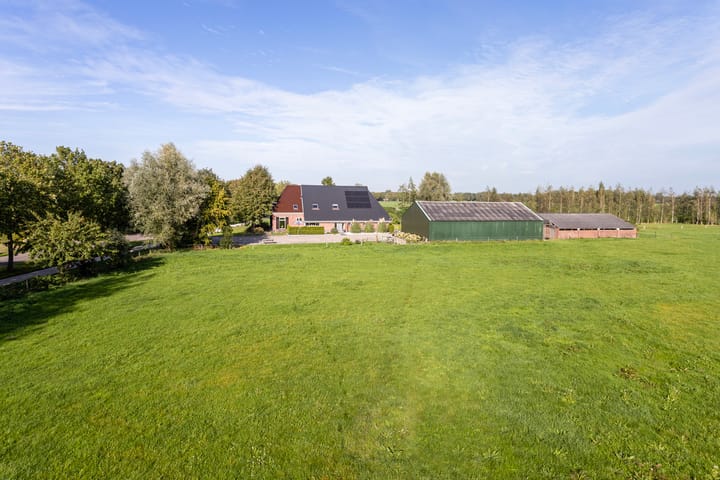 Foto 62 van Foarwurk 4