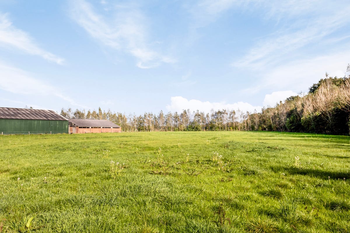 Foto 60 van Foarwurk 4