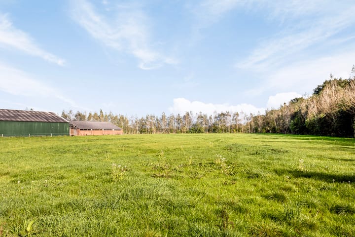 Foto 60 van Foarwurk 4