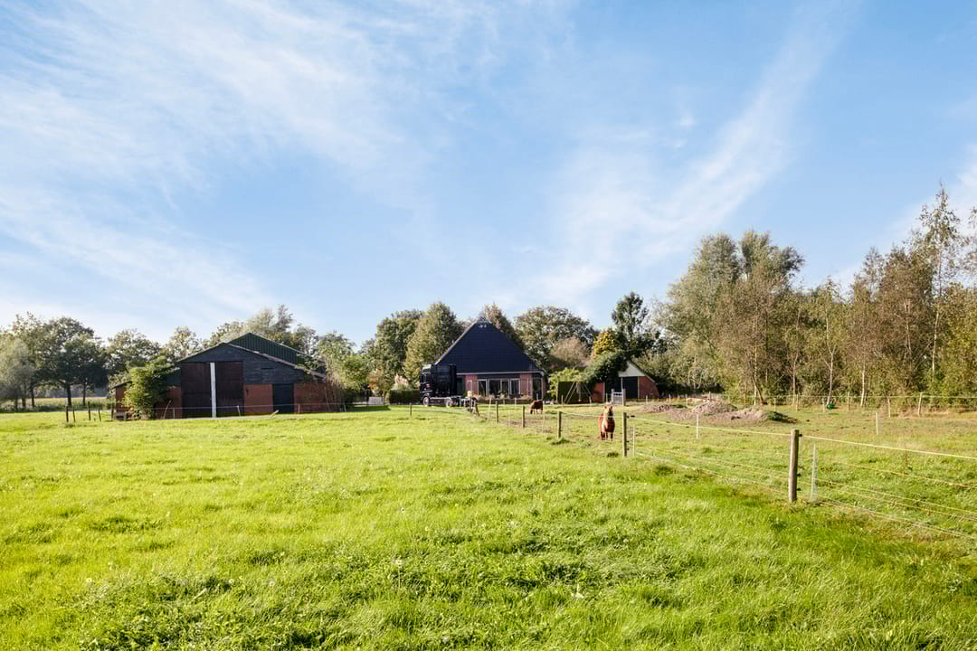 Foto 67 van Foarwurk 4