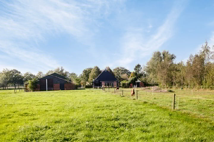 Foto 67 van Foarwurk 4