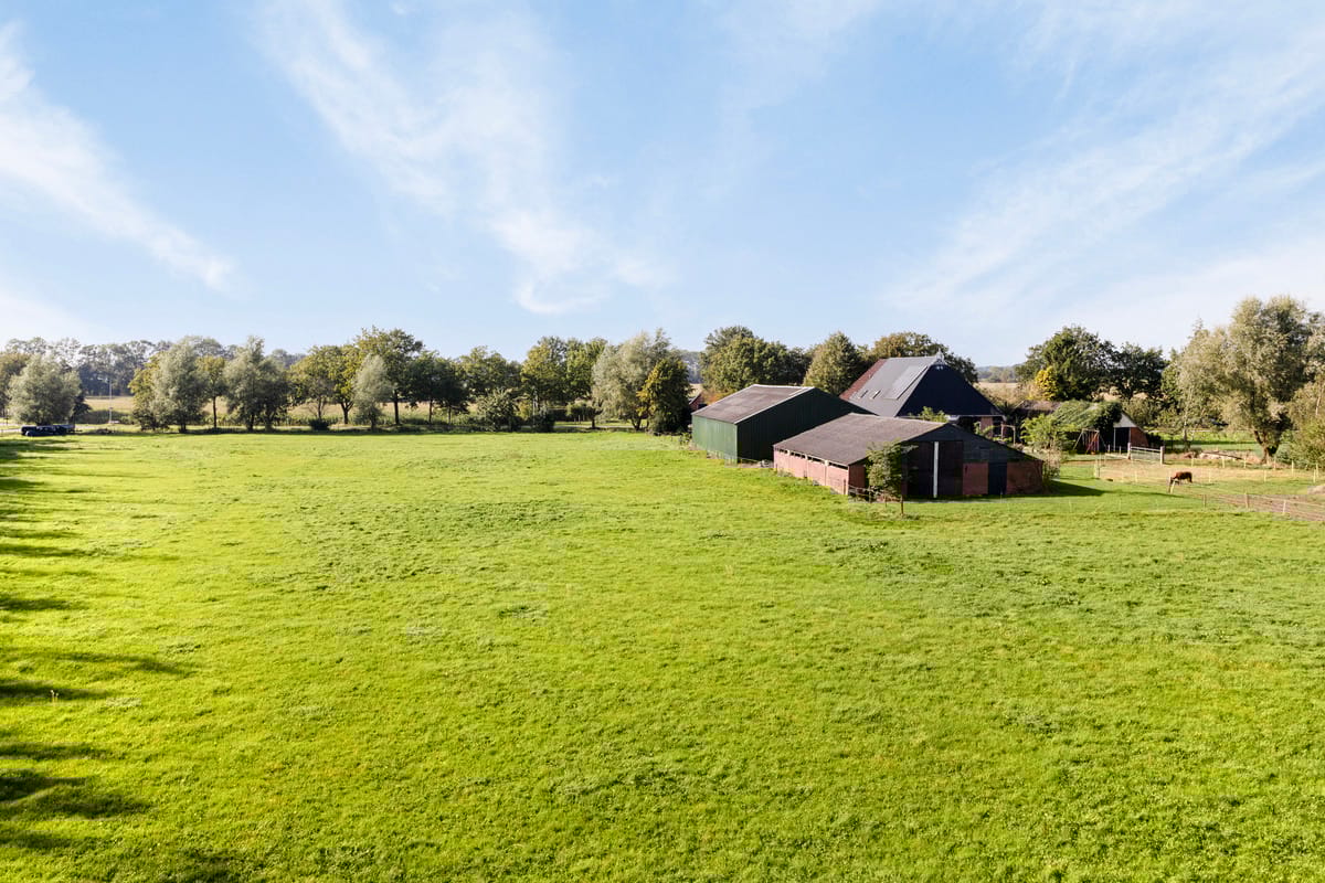 Foto 65 van Foarwurk 4