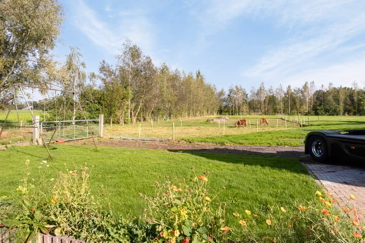 Foto 70 van Foarwurk 4