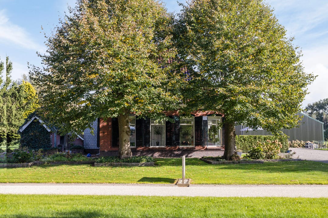 Foto 83 van Foarwurk 4