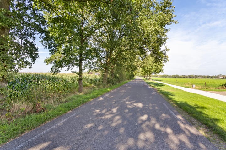 Foto 86 van Foarwurk 4