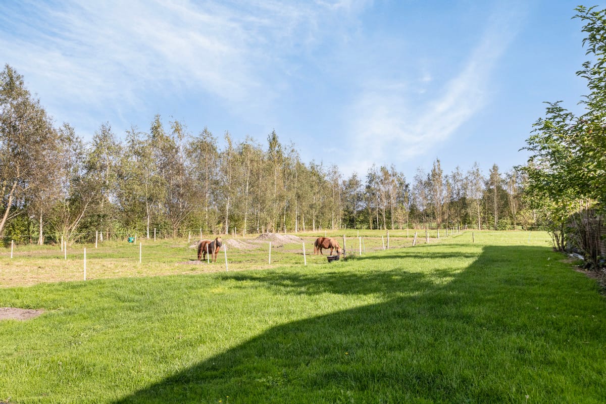 Foto 72 van Foarwurk 4