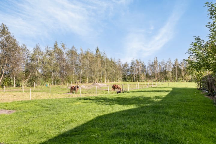 Foto 72 van Foarwurk 4