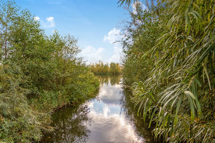 Bekijk foto 34 van Rijsoortstraat 15