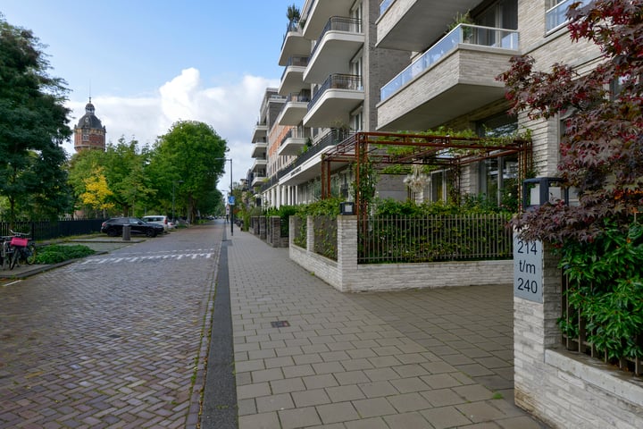 View photo 24 of Bella Vistastraat 214-+PP