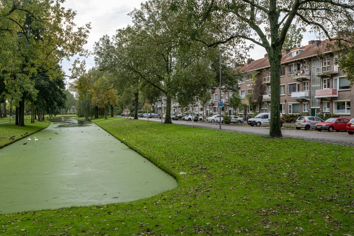 Bekijk foto 1 van Lepelaarsingel 139-A