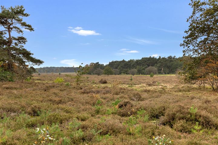 Bekijk foto 31 van Iepenlaan 186