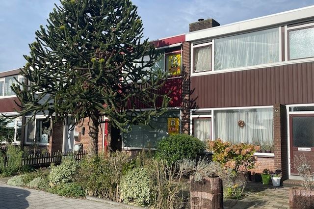 Bekijk foto 1 van Foeliestraat 45