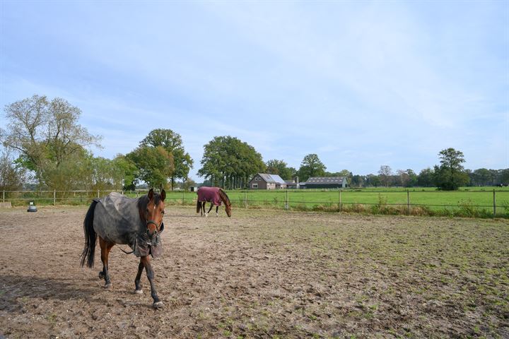 Bekijk foto 36 van Eerbeeksedijk 8