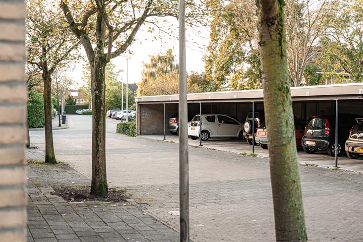 Bekijk foto 39 van Franz Lehárlaan 10