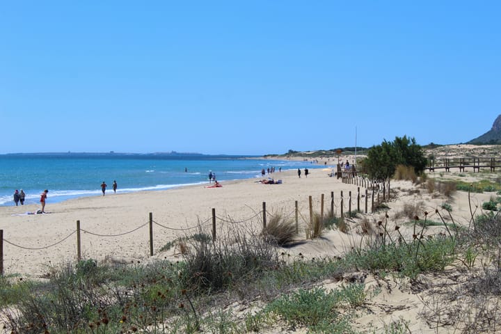 Foto 17 van Gran Alacant