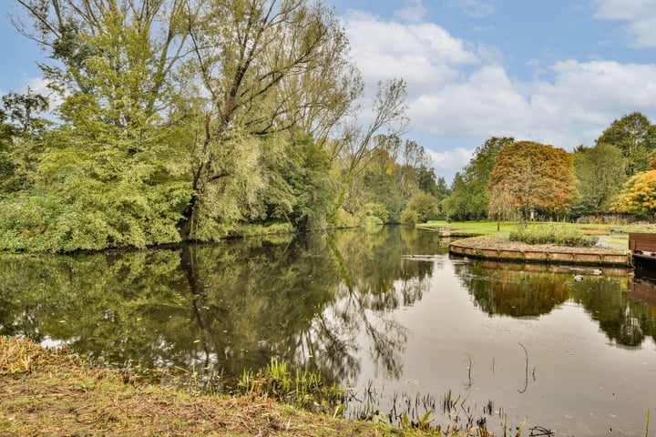 Bekijk foto 29 van Churchill-laan 221