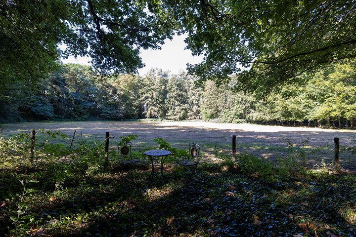 Bekijk foto 4 van Zuiderzeestraatweg 158