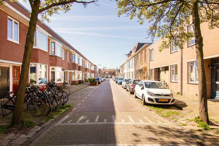 Bekijk foto 31 van Pieter Maritzstraat 28