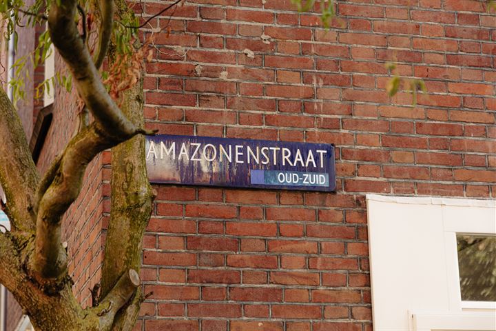 Bekijk foto 24 van Amazonenstraat 1-II