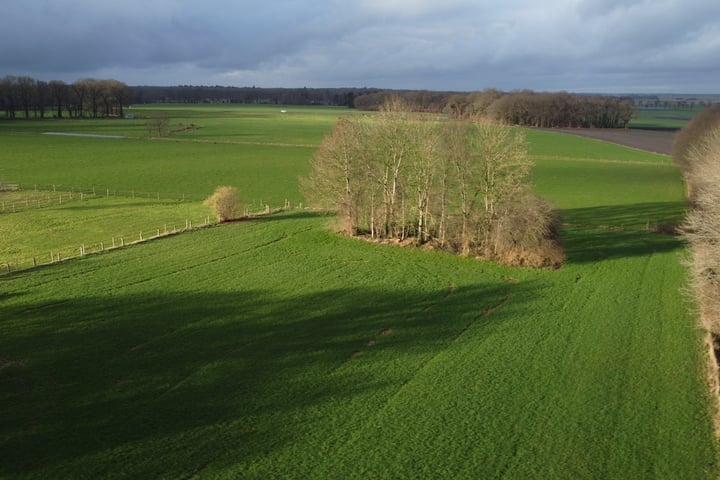 Bekijk foto 35 van Bonnerdijk 7